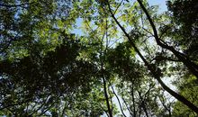 家具顾客问候短信