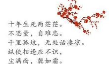 描写伤感的诗句