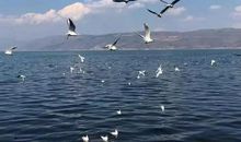 感情破裂后心碎的句子