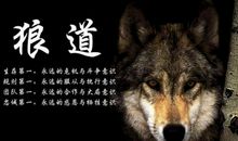 正能量努力的句子