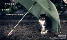 男人对婚姻心碎的句子