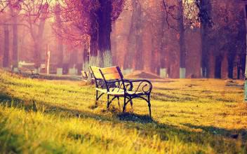     关于秋天的美丽句子 1