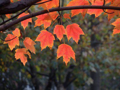 思想之风弥漫着孤独和寂寞