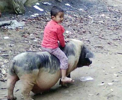 好朋友不需要太多