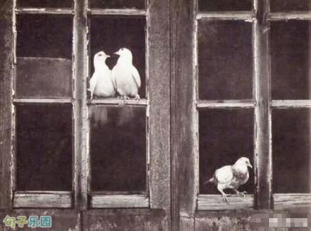 不要回头看着我