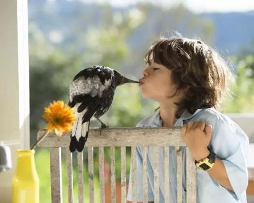 记忆很快就会随着时间的流逝而尘土飞扬