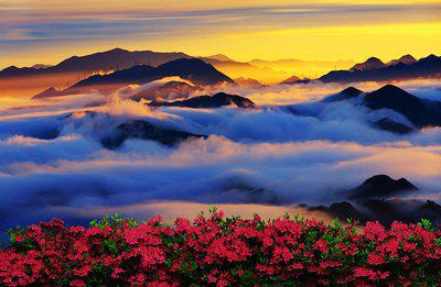 让雨寄出令人耳目一新的凉风