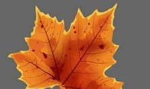 端午节舅舅问候短信