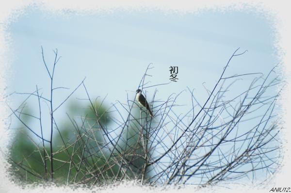 冬天最难忘的是什么