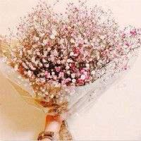 充满眼神的纯净世界