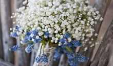 茶馆问候客人短信