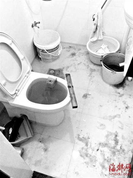 梦见厕所被堵了