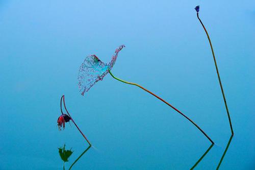 并承认我们错了