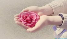 感恩语文老师的句子