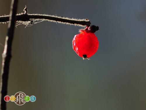 有时我们不得不闭上嘴