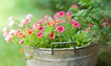 静静的不被打扰的说说