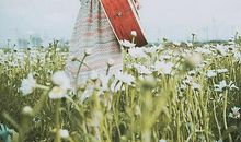 经典哲理短句：你是什么样的人身边就有什么样的人