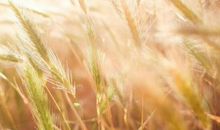 有关感悟生活的句子