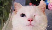 2019幽默滑稽句子 搞笑滑稽的说说