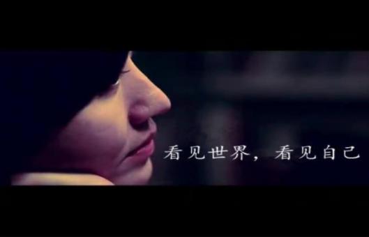 记录了过去十年中的重大公共事件