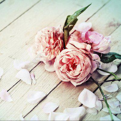 以下是描述您心烦意乱的句子和图片的集合