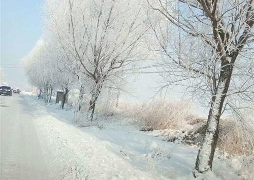 感冒是身体的无力