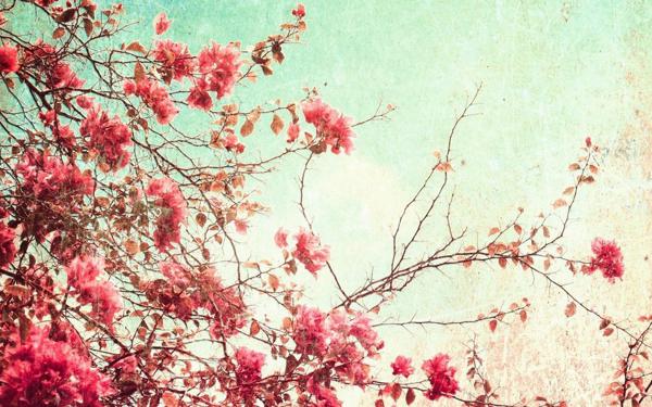 而记忆之手总会拾起那些明亮的悲伤