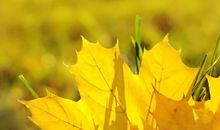 关于生活感悟句子