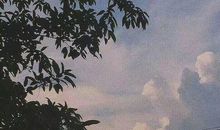 思念感恩老师有文采的句子