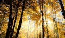 最新励志语句大全