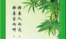 关于竹子的名言