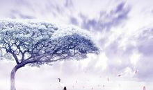 姐妹友情的句子