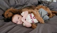 微信点击全文段子，搞笑的点击全文段子