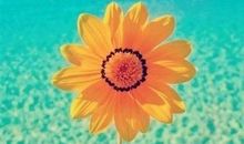 周末愉快最简单一句话唯美句子