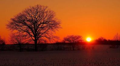 友谊和爱都基于信任