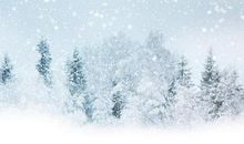 关于描写雪的诗句