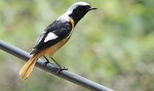 关于亲情之爱的优美句子