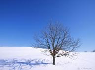 人们最害怕对一个人感到失望