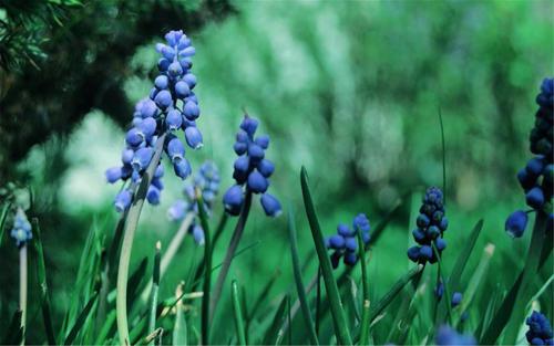 希望每个人都喜欢 1