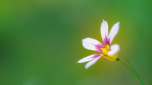 请享受由编辑组织的有关家庭关系的句子