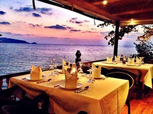 没有人会为别人的re悔而感到内gui