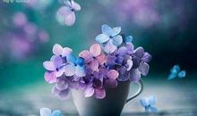 好听的经典短句子