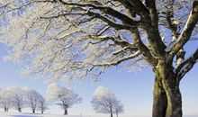 描写雪景的优美句子