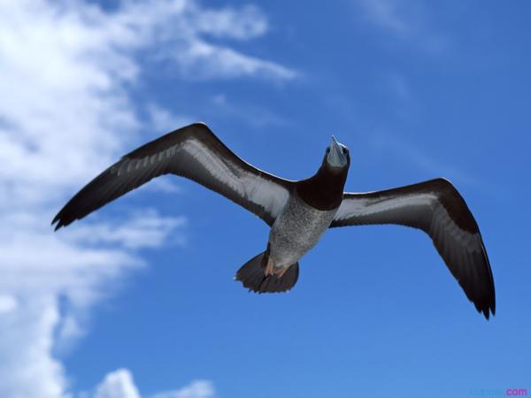 本文是一个小团队