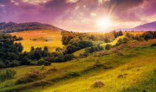 心烦时没人可以聊天的句子