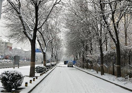 下雪天莫名其妙地使我感到很自在