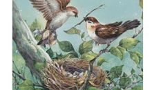 动物故事好句好段