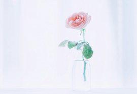 我希望你喜欢它