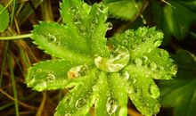 亲情优美句子简短