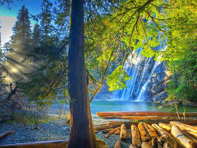 鞠躬是一种能力